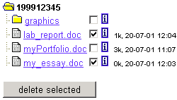 delete files